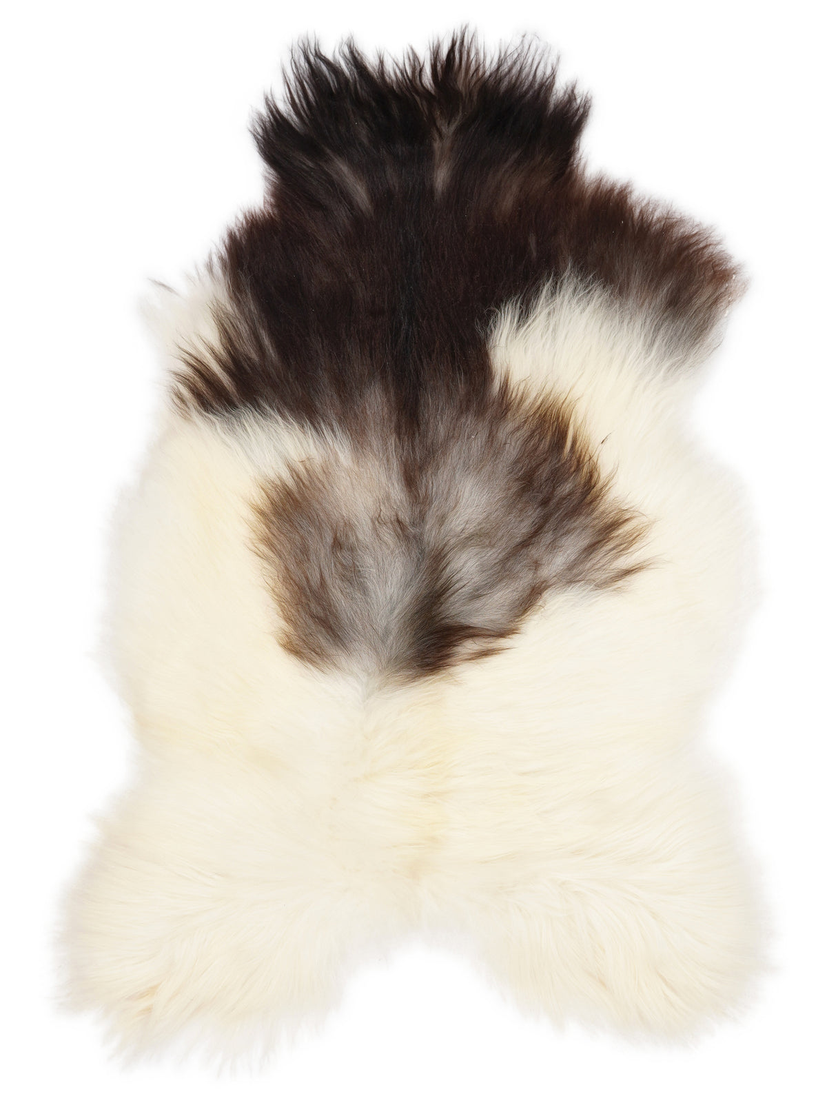 Icelandic multicolour sheepskin rug of about 120 × 75 cm, seen from above: the exact sheepskin you receive