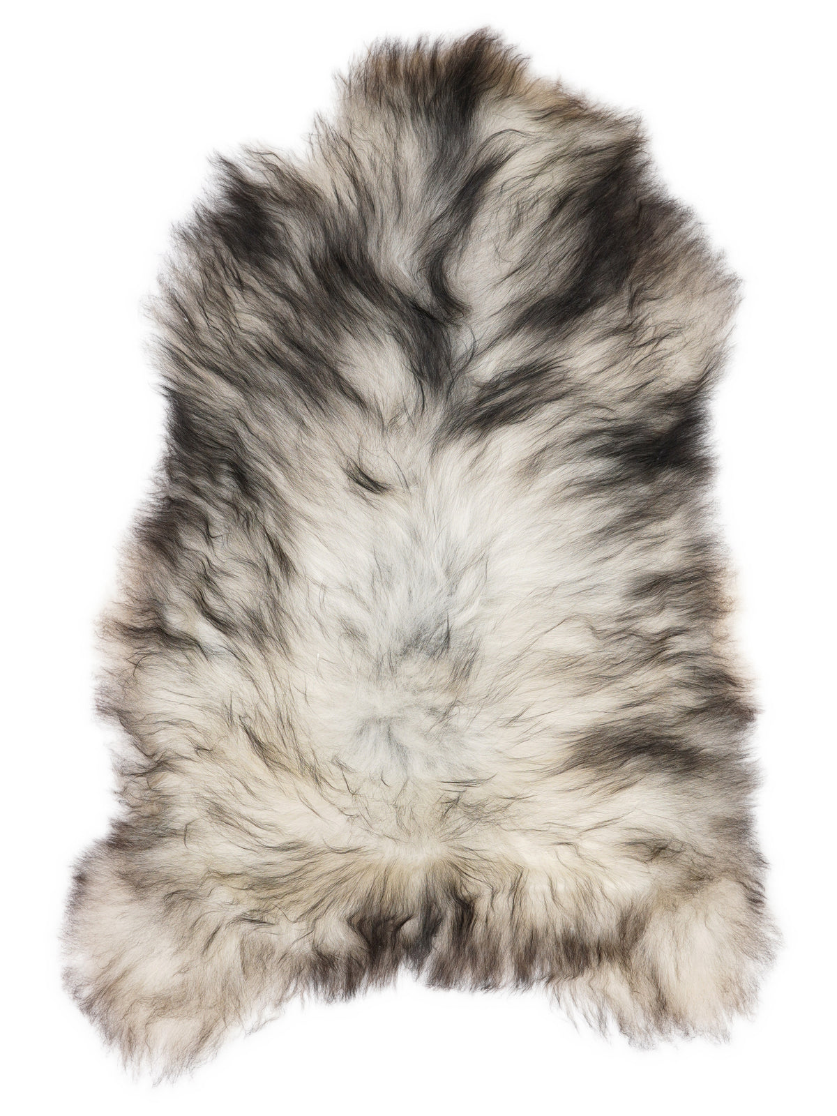 Grey Icelandic sheepskin rug of about 120 × 75 cm, seen from above: the exact sheepskin you receive