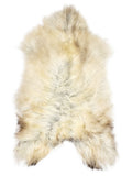 Grey Icelandic sheepskin rug of about 125 × 70 cm, seen from above: the exact sheepskin you receive