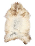 Grey Icelandic sheepskin rug of about 140 × 80 cm, seen from above: the exact sheepskin you receive