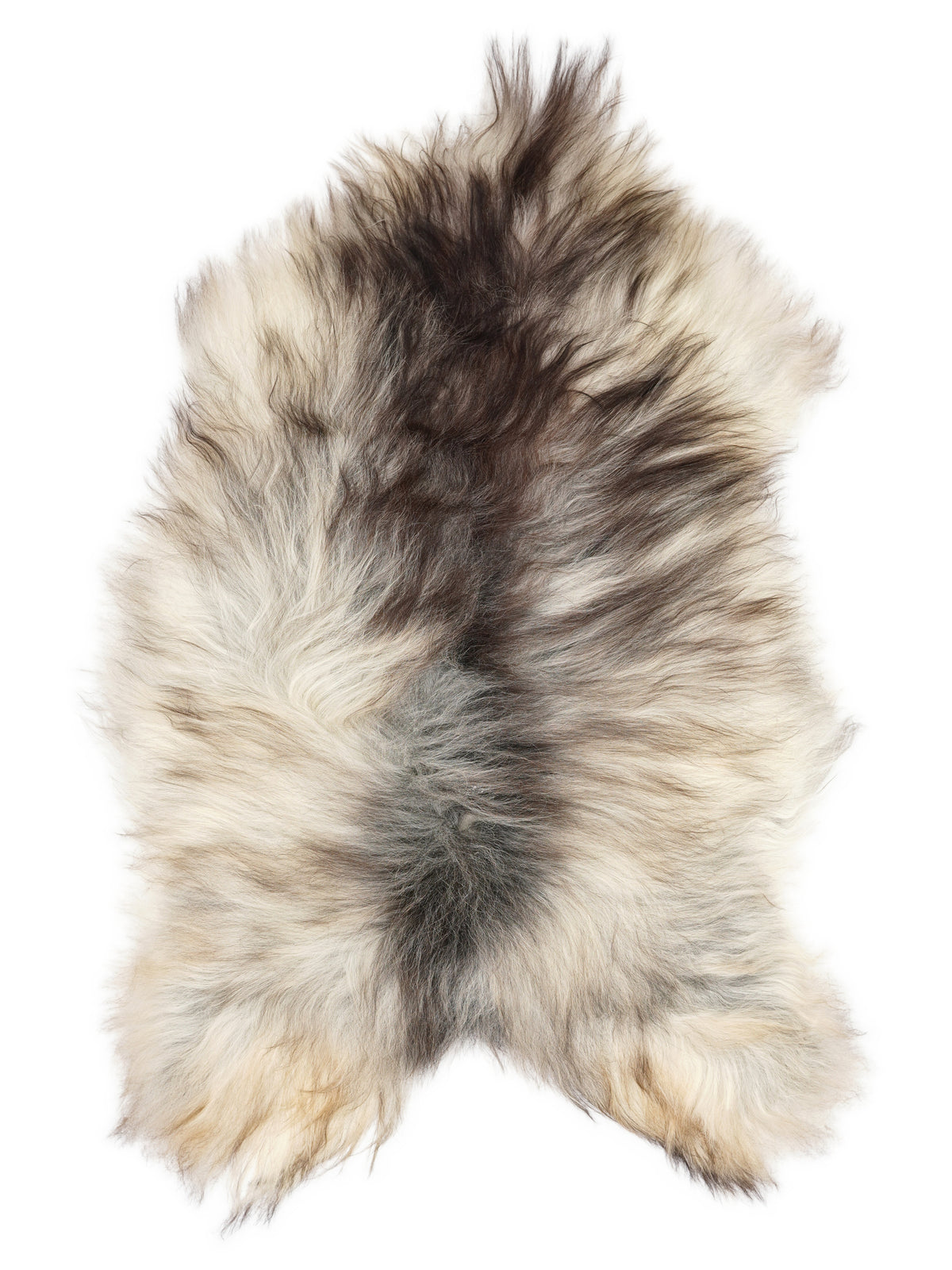 Grey Icelandic sheepskin rug of about 135 × 85 cm, seen from above: the exact sheepskin you receive