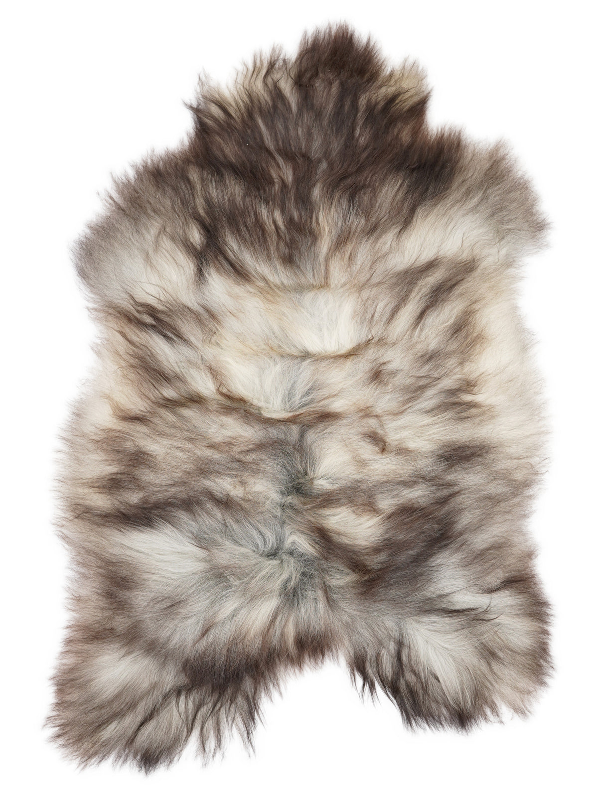 Grey Icelandic sheepskin rug of about 120 × 85 cm, seen from above: the exact sheepskin you receive