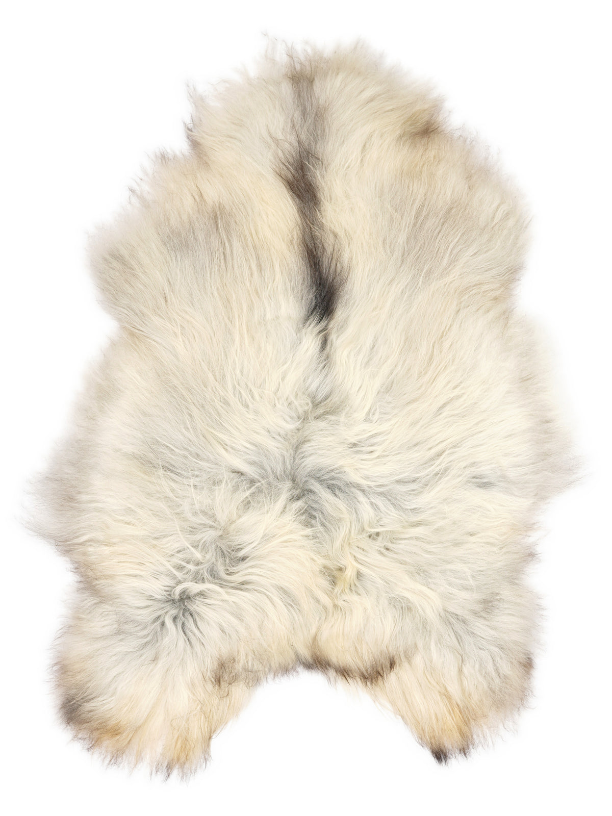 Grey Icelandic sheepskin rug of about 120 × 85 cm, seen from above: the exact sheepskin you receive