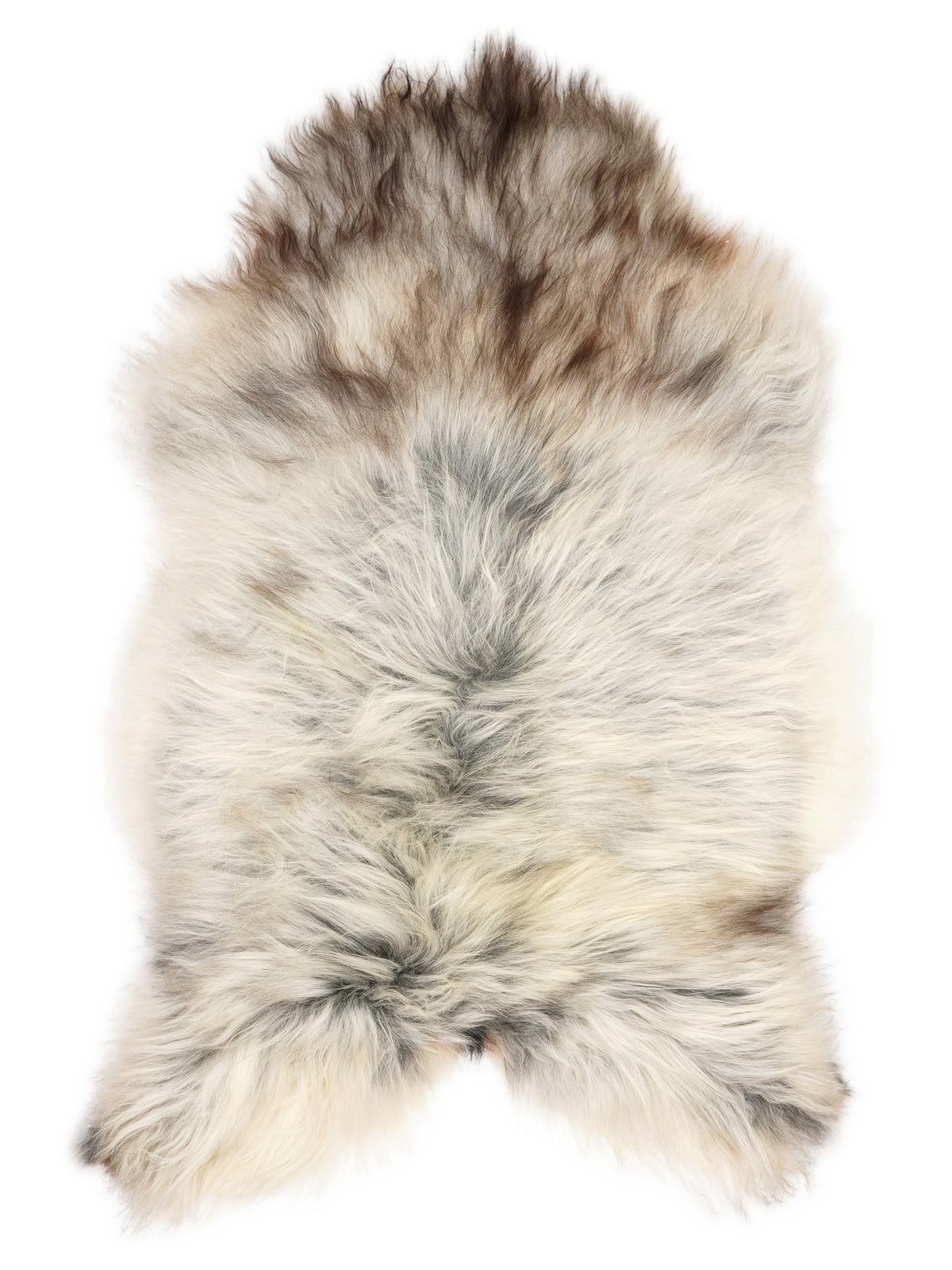 Grey Icelandic sheepskin rug of about 120 × 80 cm, seen from above: the exact sheepskin you receive