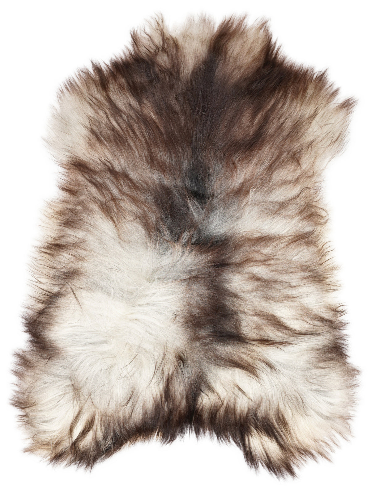 Grey Icelandic sheepskin rug of about 120 × 85 cm, seen from above: the exact sheepskin you receive