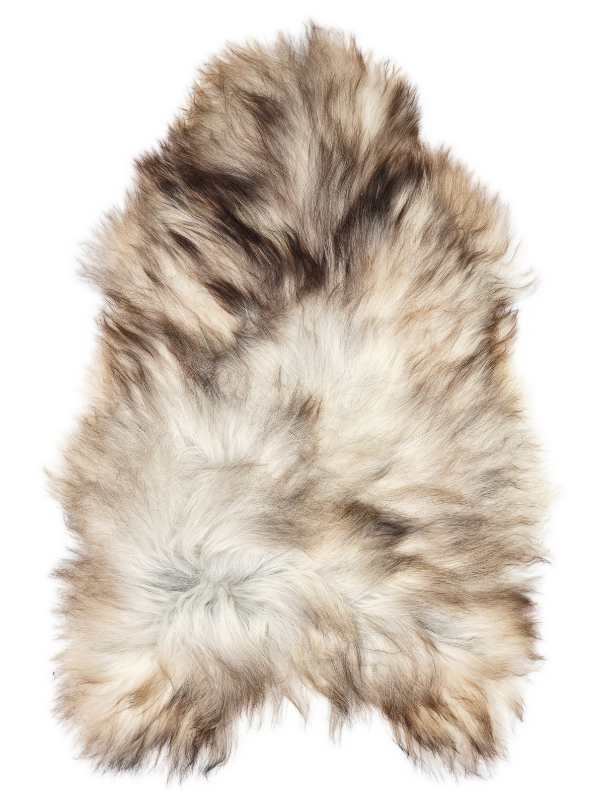 Grey Icelandic sheepskin rug of about 130 × 85 cm, seen from above: the exact sheepskin you receive