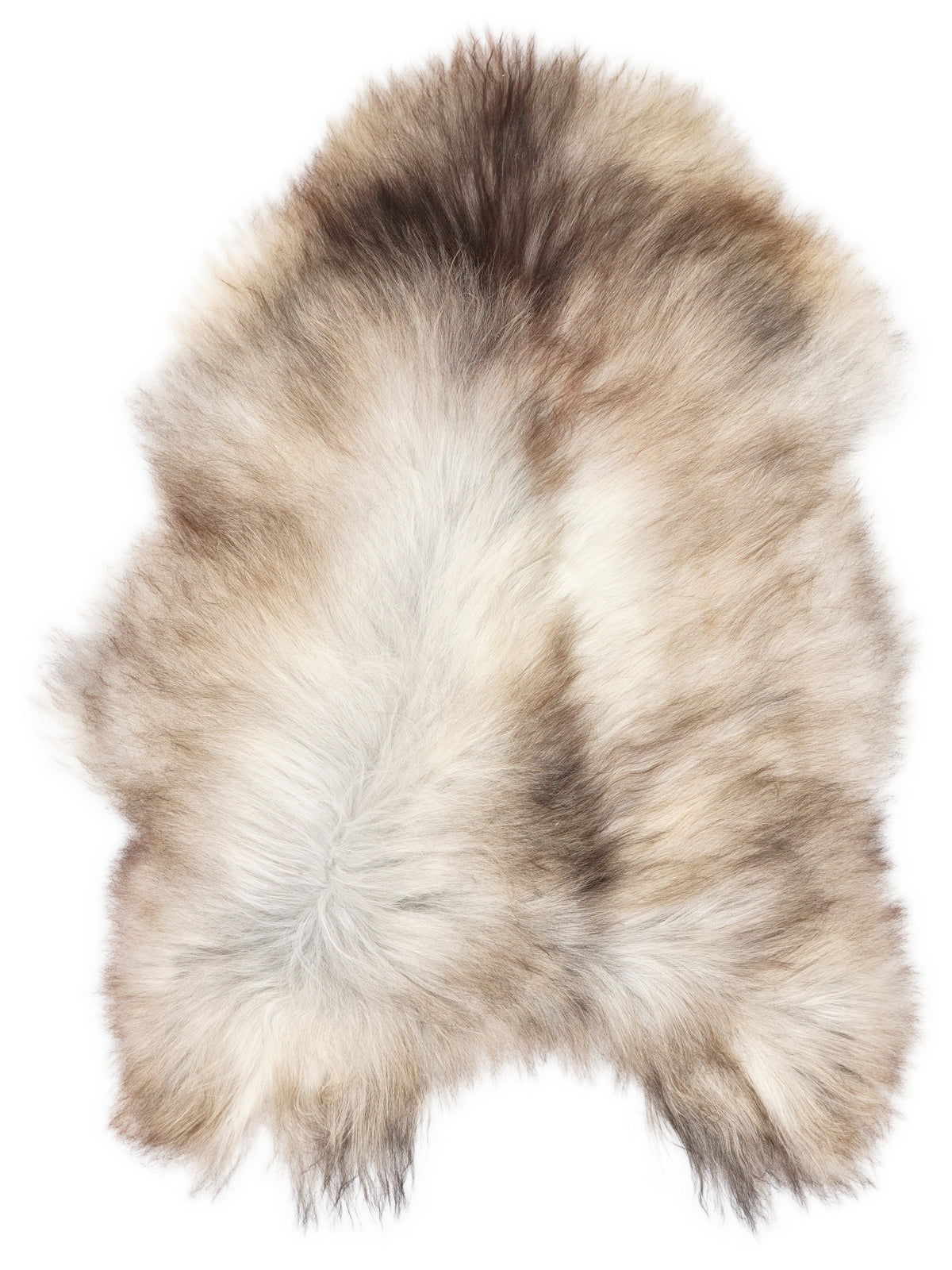 Grey Icelandic sheepskin rug of about 120 × 85 cm, seen from above: the exact sheepskin you receive