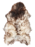 Grey Icelandic sheepskin rug of about 130 × 80 cm, seen from above: the exact sheepskin you receive