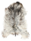 Grey Icelandic sheepskin rug of about 120 × 70 cm, seen from above: the exact sheepskin you receive