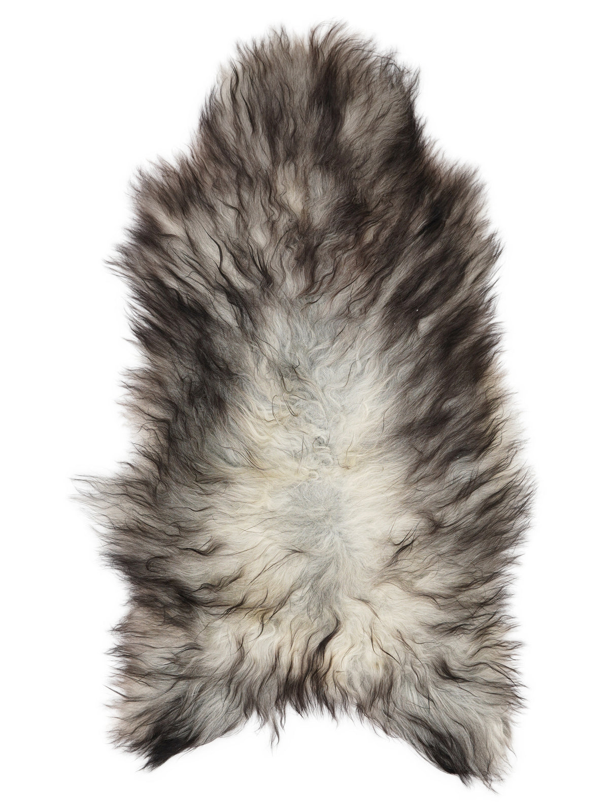 Grey Icelandic sheepskin rug of about 135 × 70 cm, seen from above: the exact sheepskin you receive