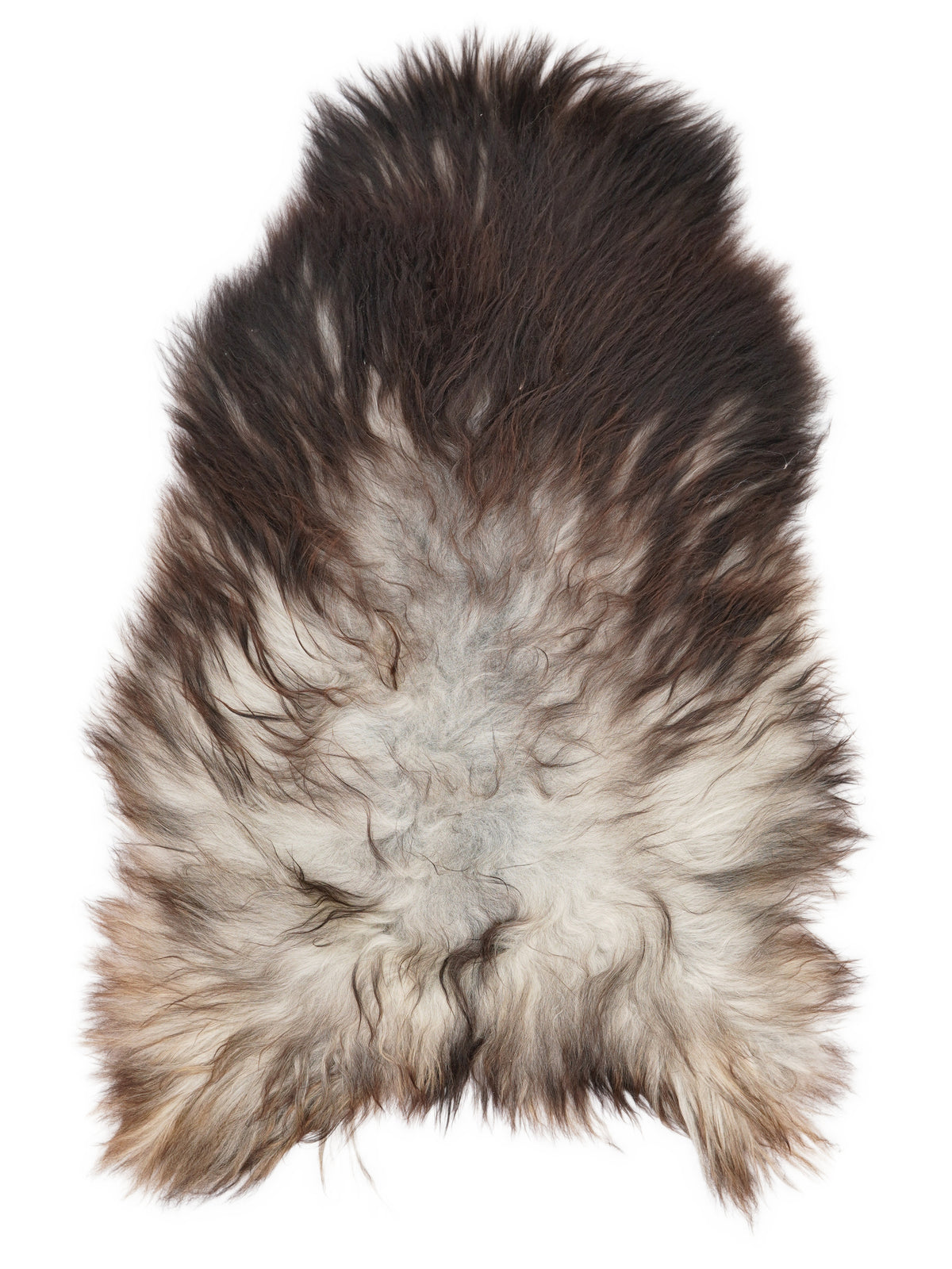 Grey Icelandic sheepskin rug of about 120 × 75 cm, seen from above: the exact sheepskin you receive