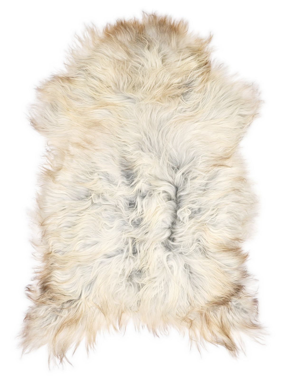 Grey Icelandic sheepskin rug of about 120 × 75 cm, seen from above: the exact sheepskin you receive