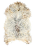 Grey Icelandic sheepskin rug of about 120 × 75 cm, seen from above: the exact sheepskin you receive