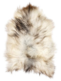 Grey Icelandic sheepskin rug of about 130 × 80 cm, seen from above: the exact sheepskin you receive