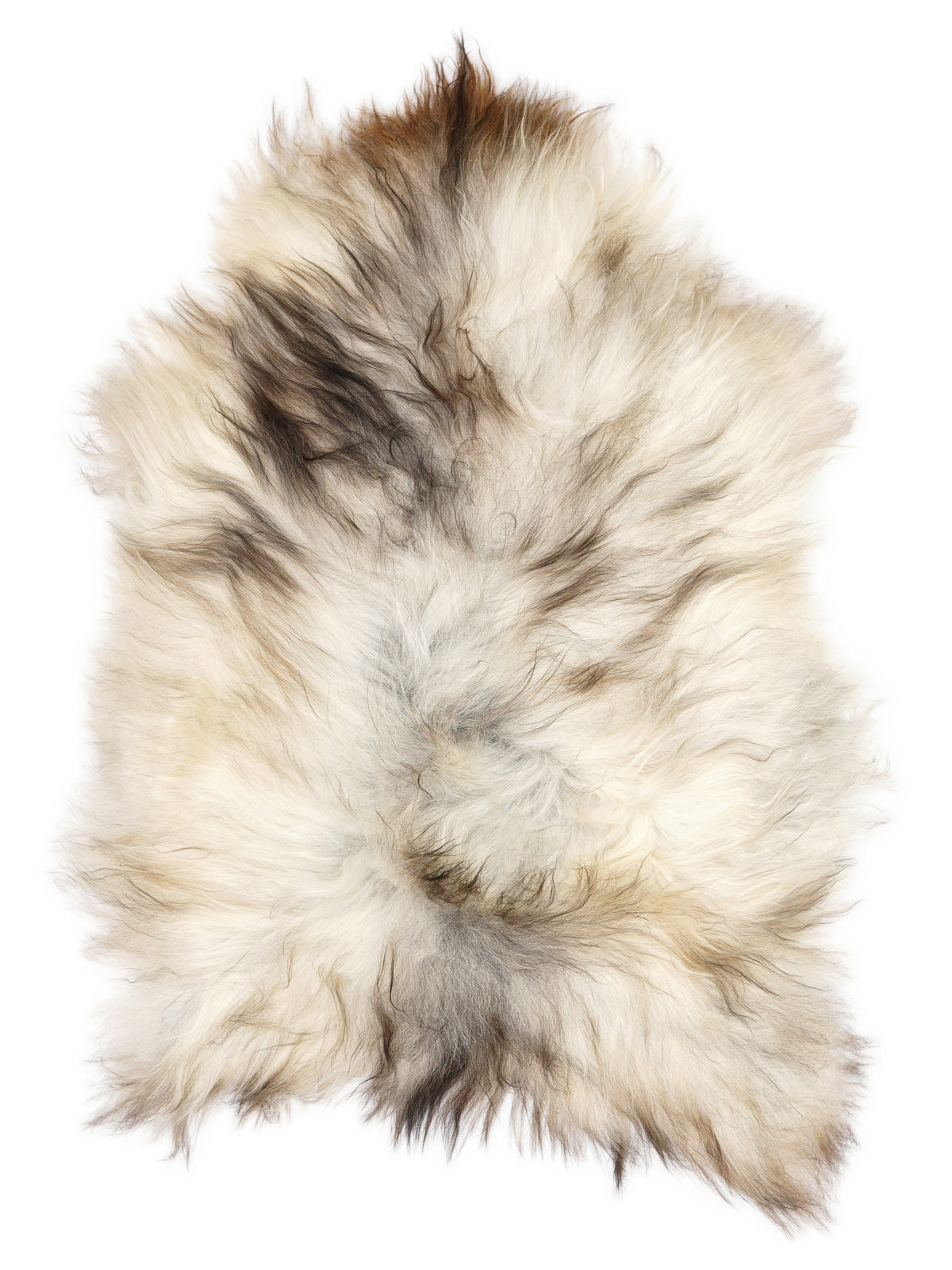 Grey Icelandic sheepskin rug of about 130 × 80 cm, seen from above: the exact sheepskin you receive