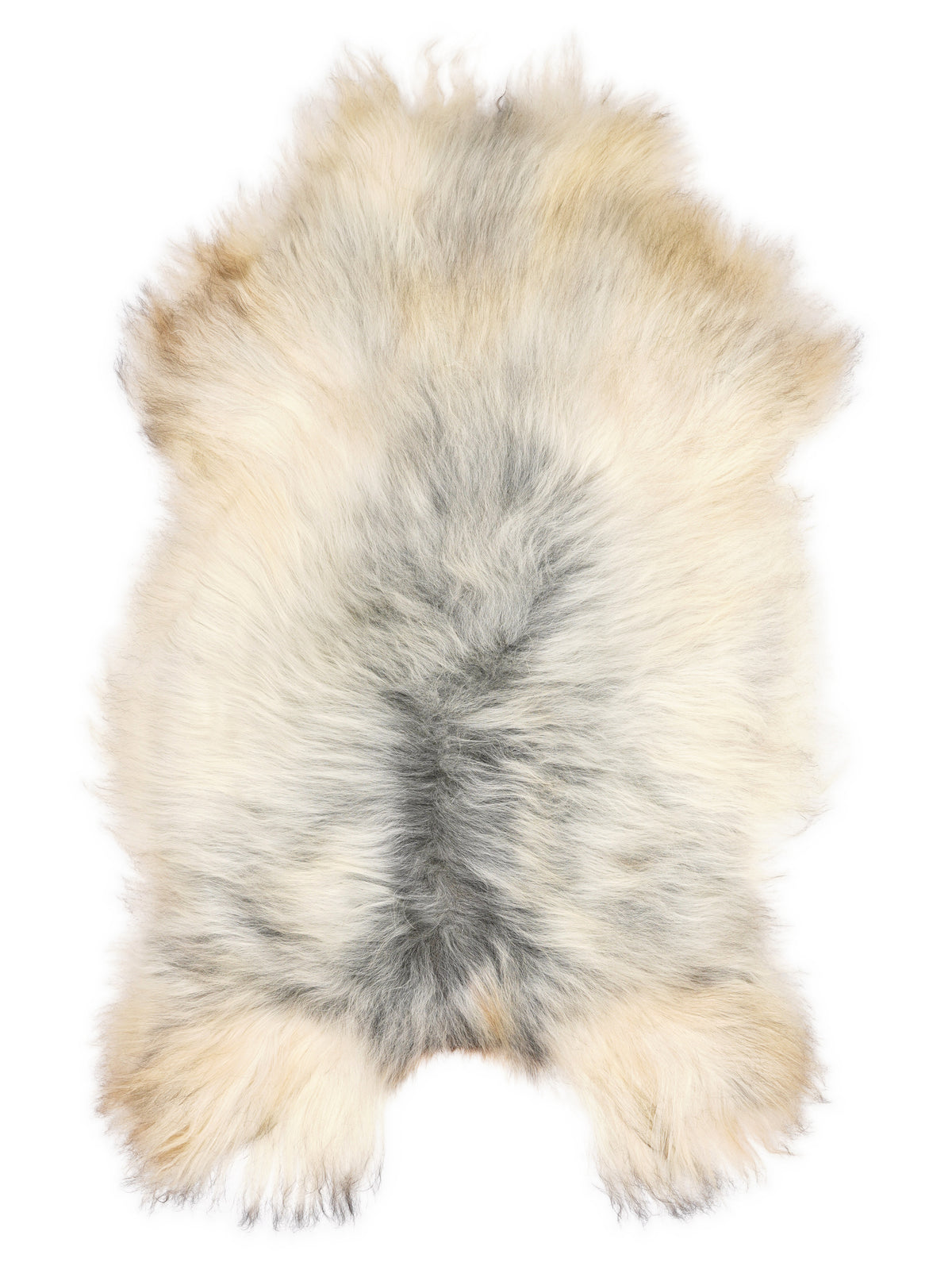 Grey Icelandic sheepskin rug of about 130 × 80 cm, seen from above: the exact sheepskin you receive