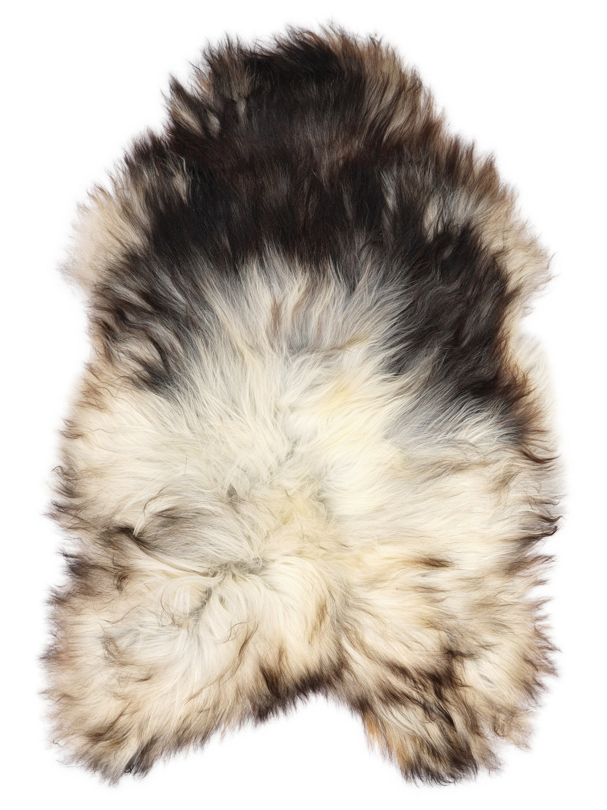 Grey Icelandic sheepskin rug of about 130 × 85 cm, seen from above: the exact sheepskin you receive