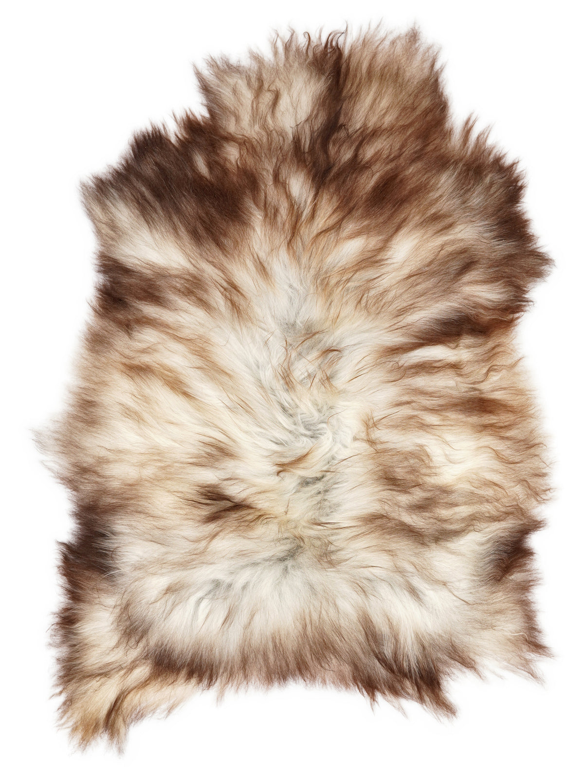 Grey Icelandic sheepskin rug of about 110 × 80 cm, seen from above: the exact sheepskin you receive