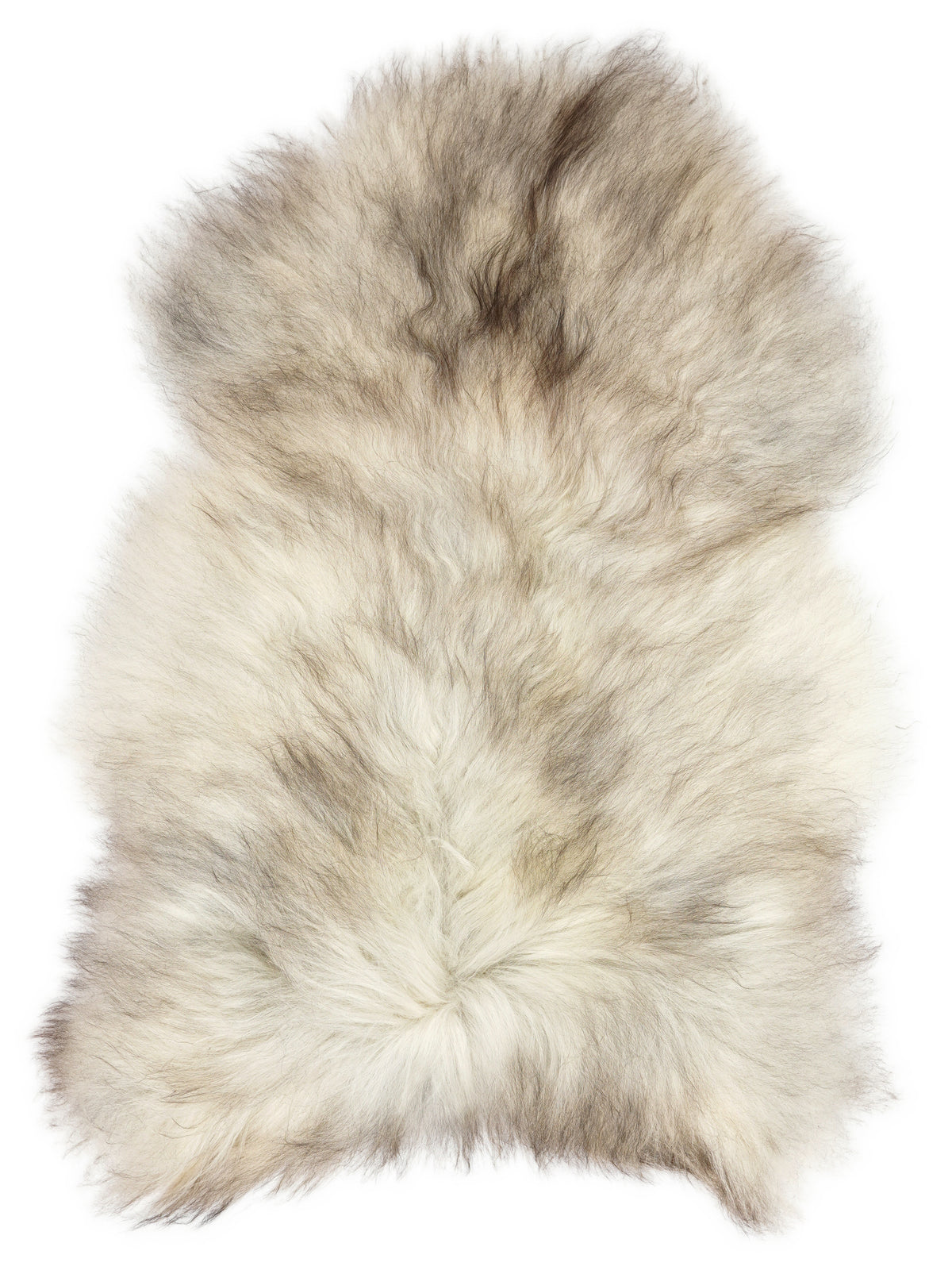 Grey Icelandic sheepskin rug of about 120 × 80 cm, seen from above: the exact sheepskin you receive