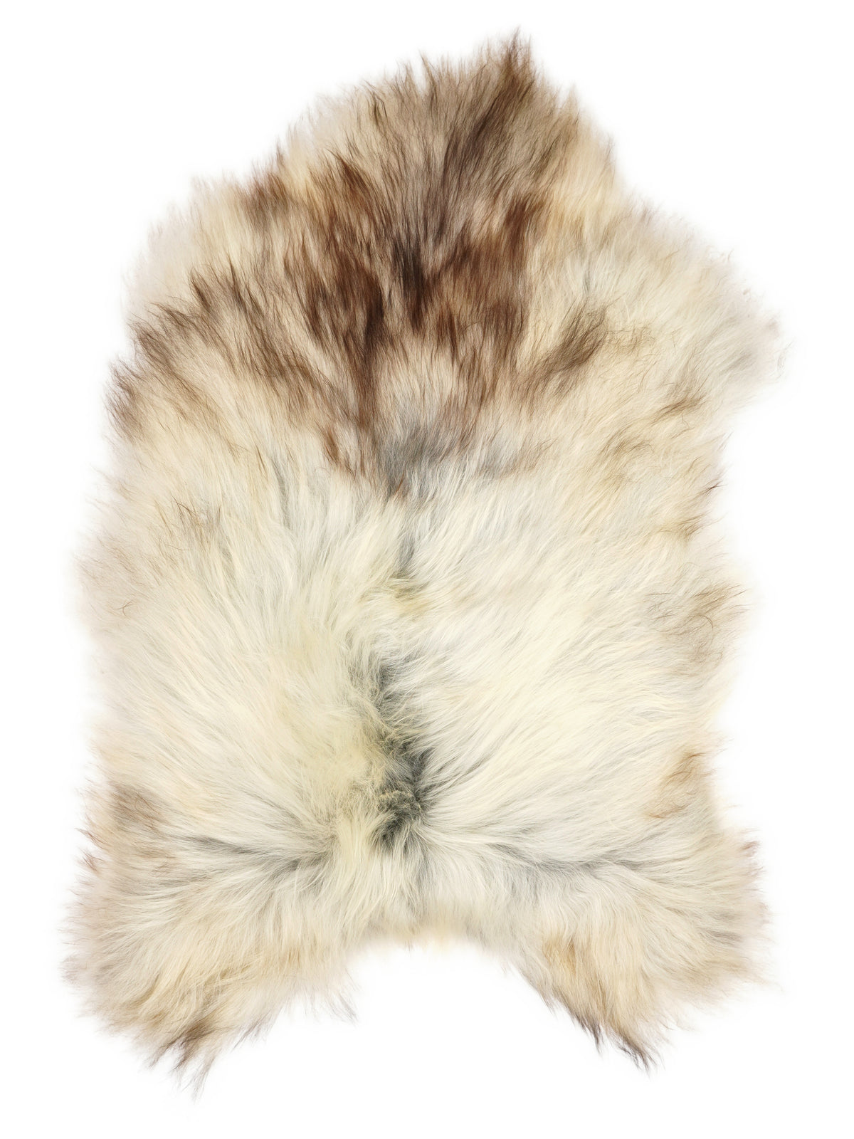Grey Icelandic sheepskin rug of about 120 × 70 cm, seen from above: the exact sheepskin you receive