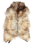 Grey Icelandic sheepskin rug of about 115 × 75 cm, seen from above: the exact sheepskin you receive
