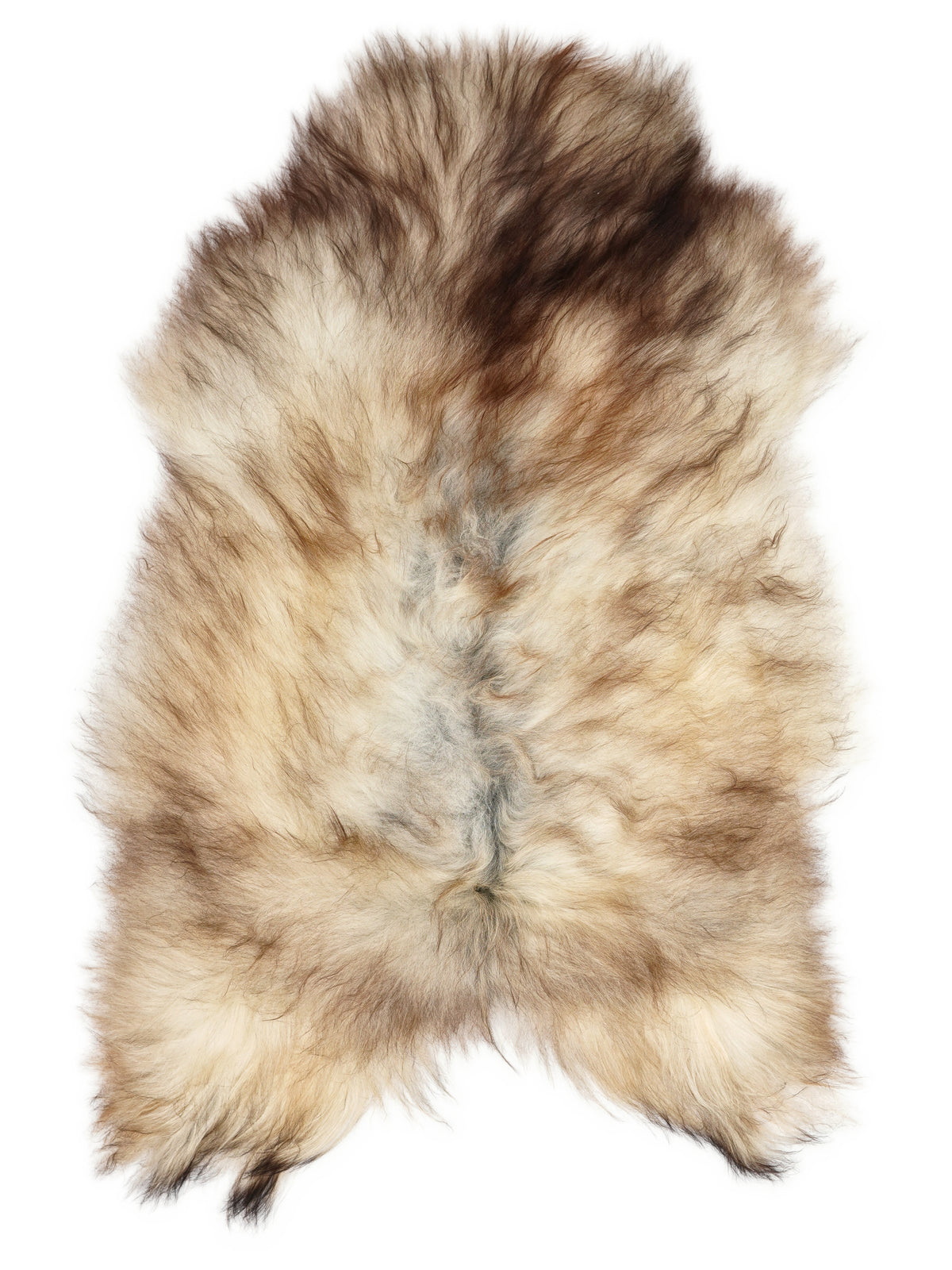 Grey Icelandic sheepskin rug of about 115 × 75 cm, seen from above: the exact sheepskin you receive