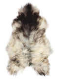 Grey Icelandic sheepskin rug of about 120 × 75 cm, seen from above: the exact sheepskin you receive