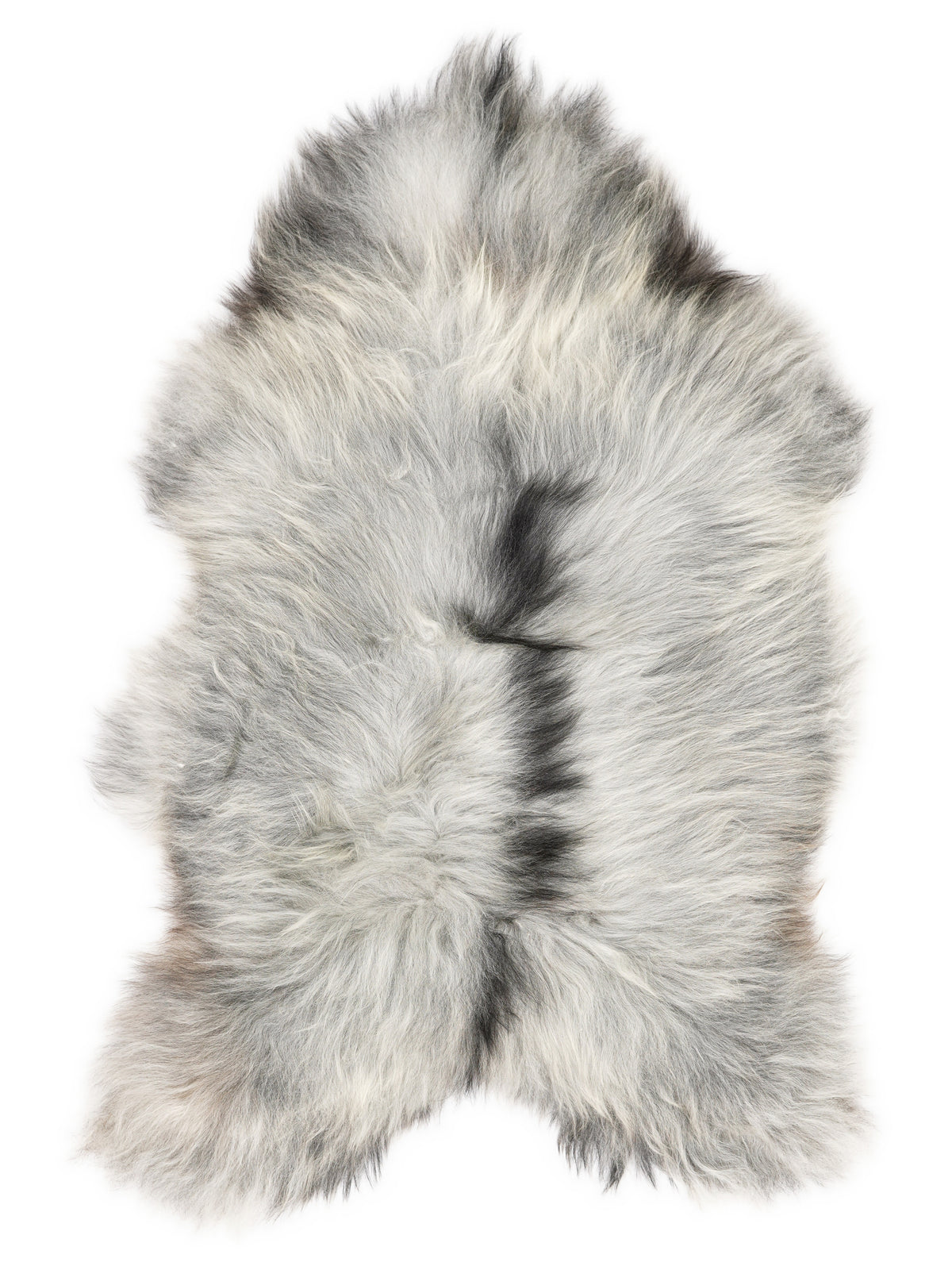 Grey Icelandic sheepskin rug of about 125 × 80 cm, seen from above: the exact sheepskin you receive