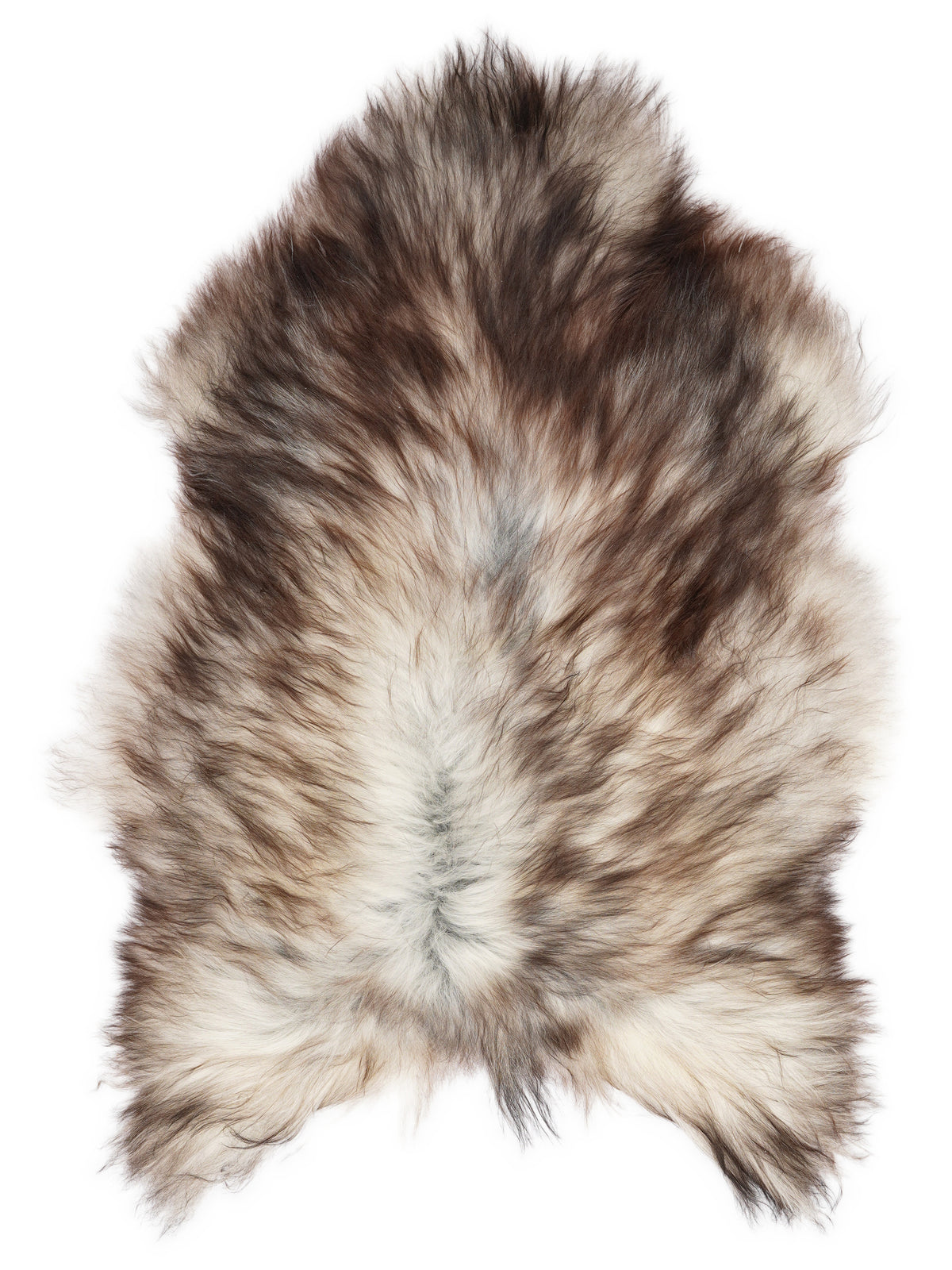 Grey Icelandic sheepskin rug of about 110 × 80 cm, seen from above: the exact sheepskin you receive