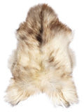 Grey Icelandic sheepskin rug of about 120 × 70 cm, seen from above: the exact sheepskin you receive
