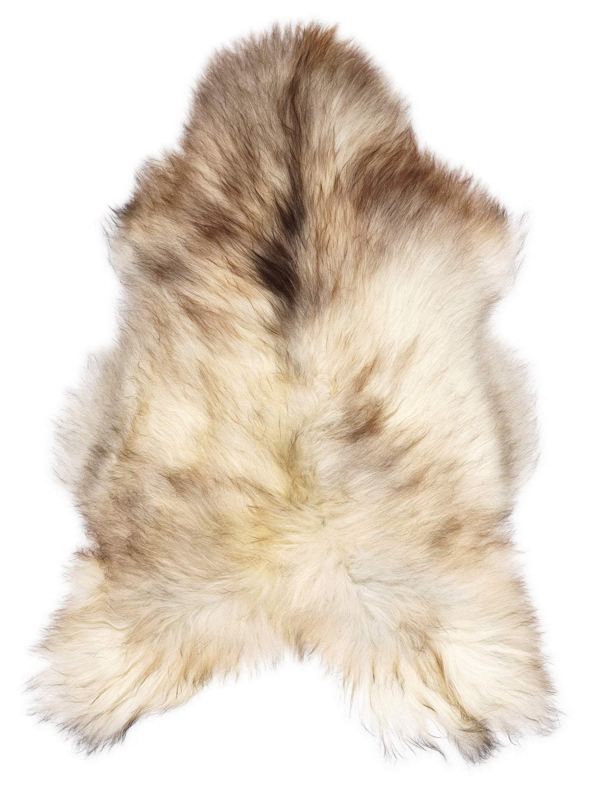 Grey Icelandic sheepskin rug of about 120 × 70 cm, seen from above: the exact sheepskin you receive