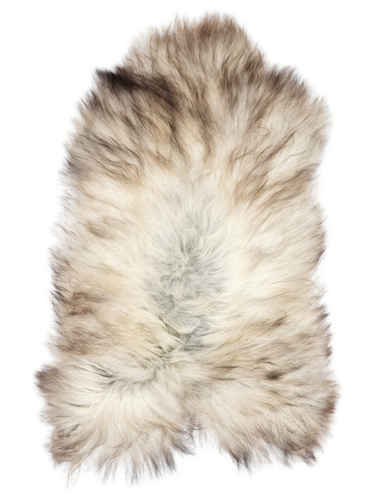 Grey Icelandic sheepskin rug of about 130 × 70 cm, seen from above: the exact sheepskin you receive
