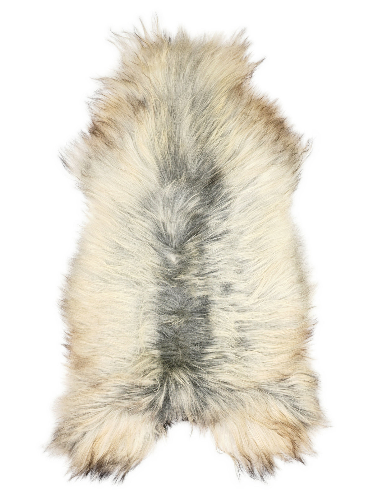 Grey Icelandic sheepskin rug of about 120 × 65 cm, seen from above: the exact sheepskin you receive