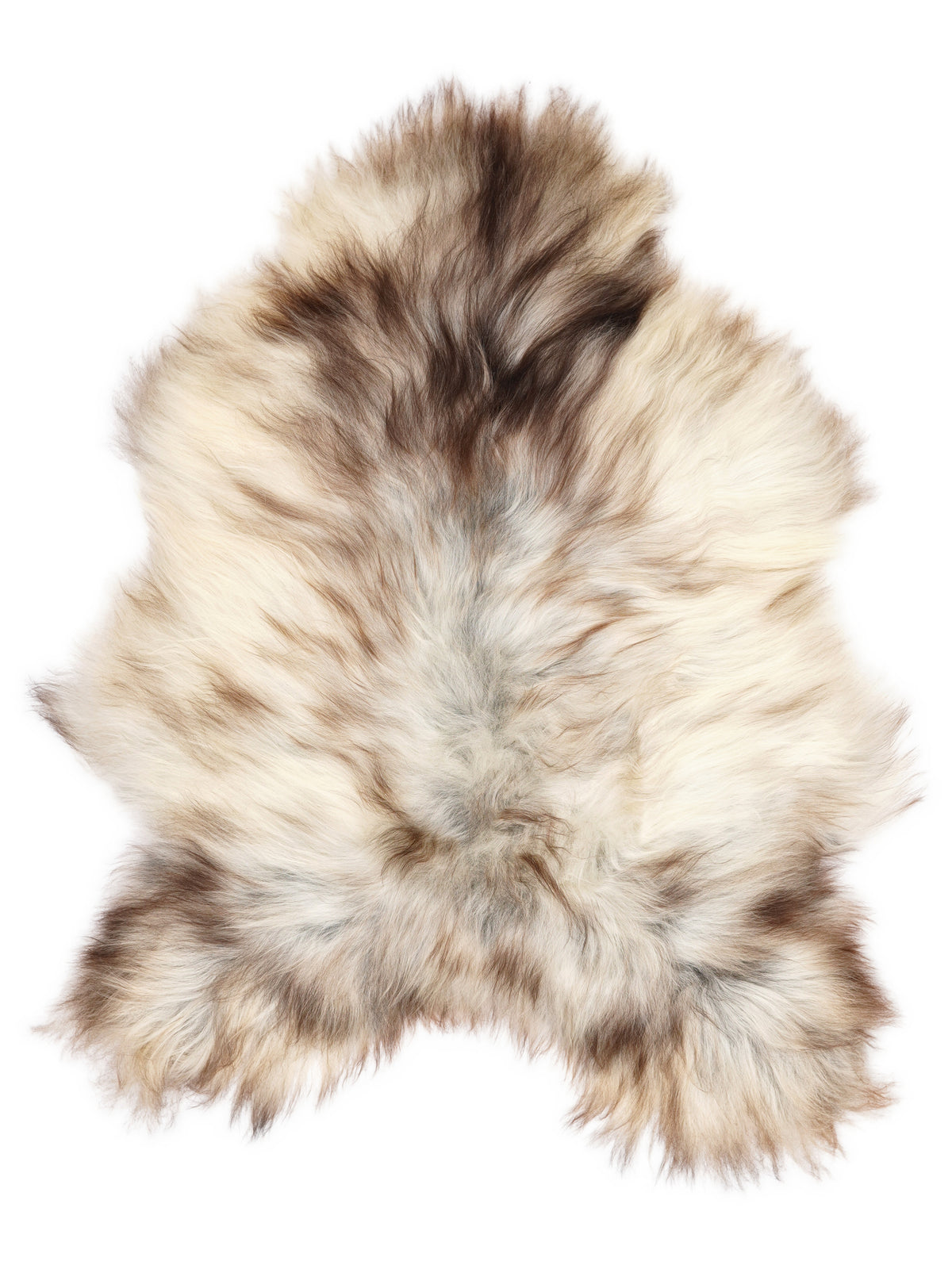 Grey Icelandic sheepskin rug of about 120 × 90 cm, seen from above: the exact sheepskin you receive