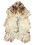 Grey Icelandic sheepskin rug of about 120 × 75 cm, seen from above: the exact sheepskin you receive