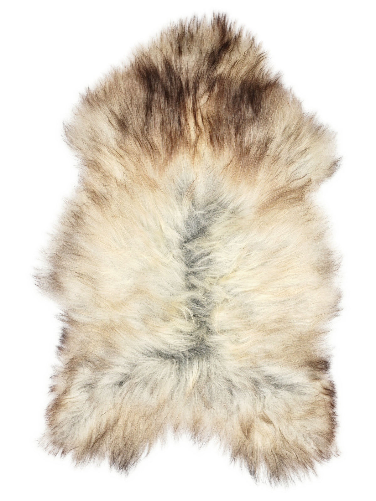 Grey Icelandic sheepskin rug of about 120 × 75 cm, seen from above: the exact sheepskin you receive