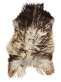 Grey Icelandic sheepskin rug of about 120 × 75 cm, seen from above: the exact sheepskin you receive