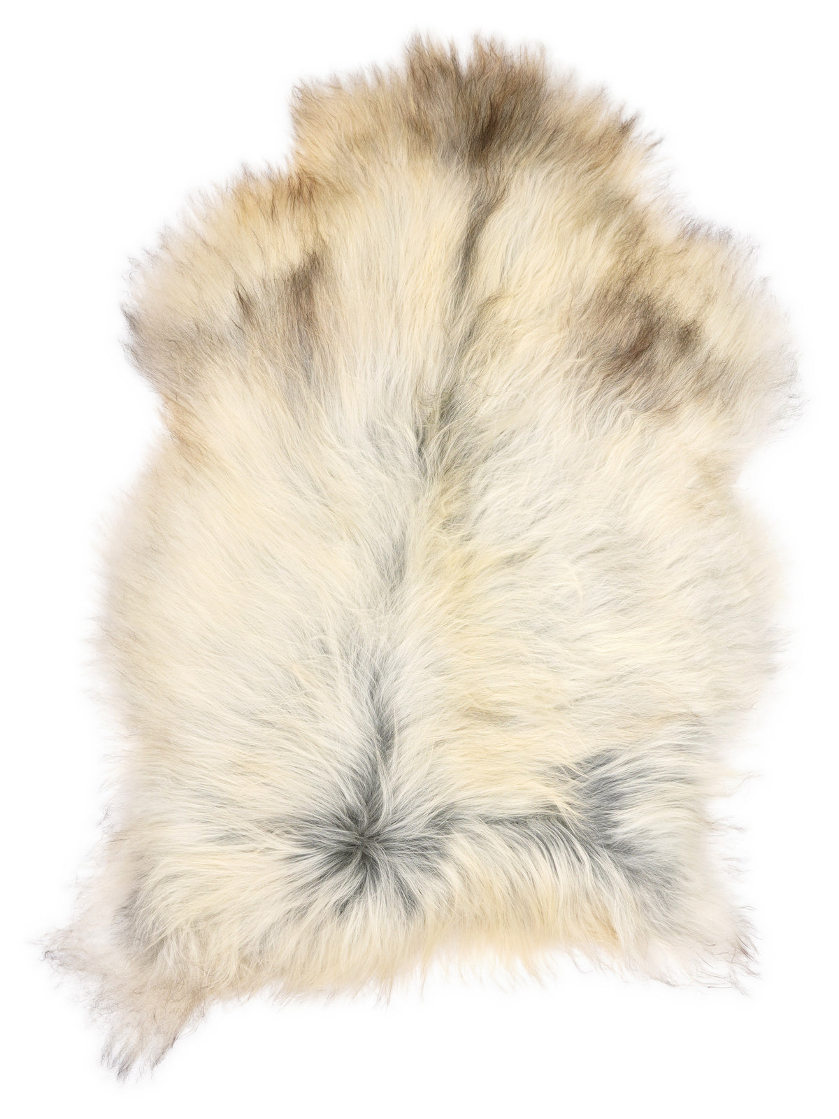 Grey Icelandic sheepskin rug of about 120 × 80 cm, seen from above: the exact sheepskin you receive