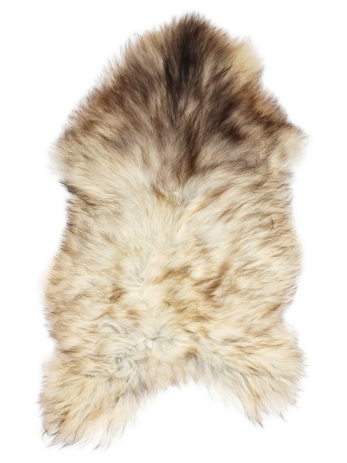 Grey Icelandic sheepskin rug of about 120 × 75 cm, seen from above: the exact sheepskin you receive