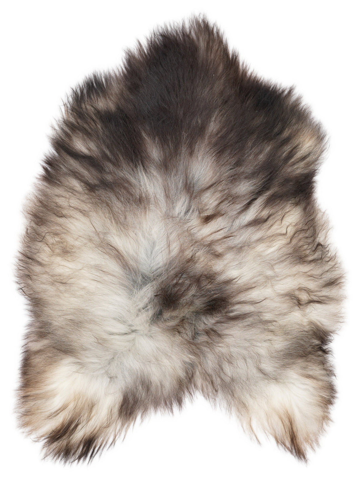 Grey Icelandic sheepskin rug of about 120 × 90 cm, seen from above: the exact sheepskin you receive