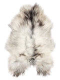 Grey Icelandic sheepskin rug of about 110 × 75 cm, seen from above: the exact sheepskin you receive
