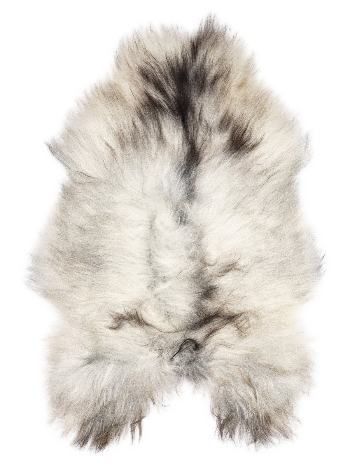 Grey Icelandic sheepskin rug of about 110 × 75 cm, seen from above: the exact sheepskin you receive
