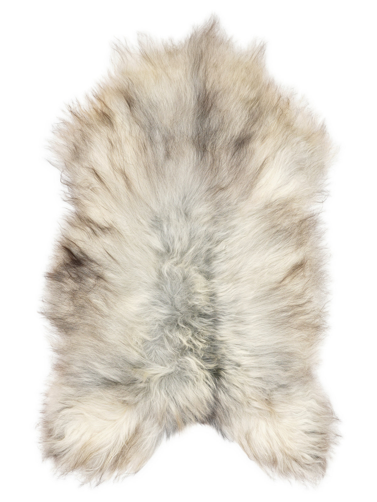 Grey Icelandic sheepskin rug of about 140 × 80 cm, seen from above: the exact sheepskin you receive