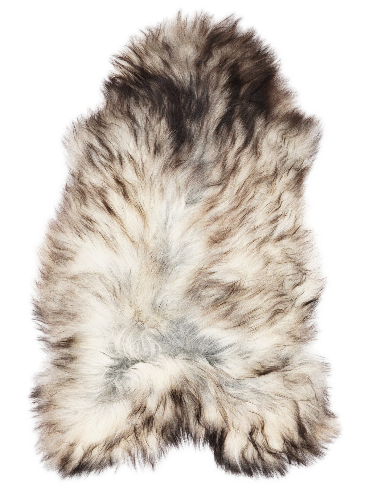 Grey Icelandic sheepskin rug of about 140 × 80 cm, seen from above: the exact sheepskin you receive