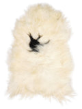 Icelandic multicolour sheepskin rug of about 120 × 80 cm, seen from above: the exact sheepskin you receive