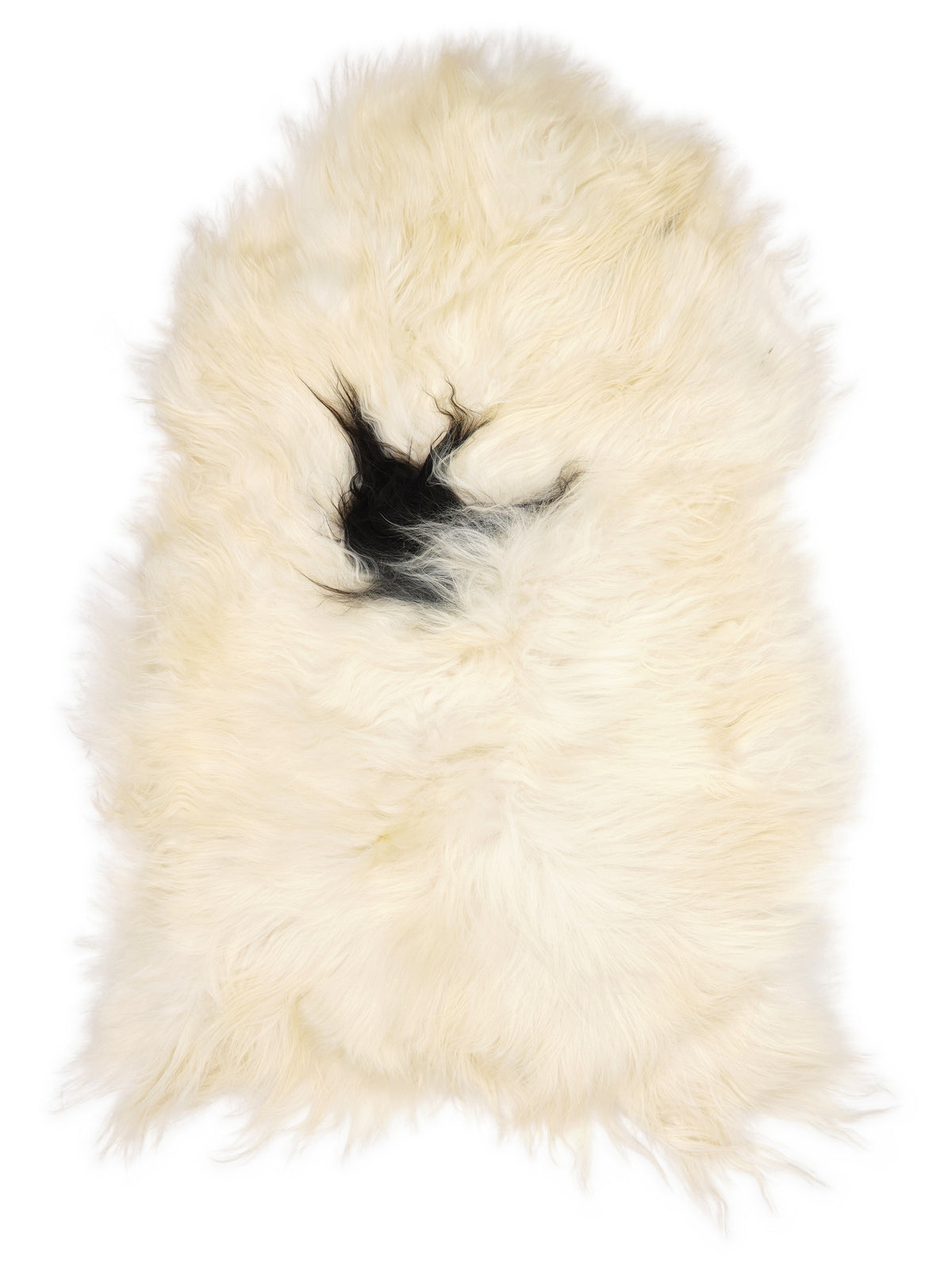 Icelandic multicolour sheepskin rug of about 120 × 80 cm, seen from above: the exact sheepskin you receive