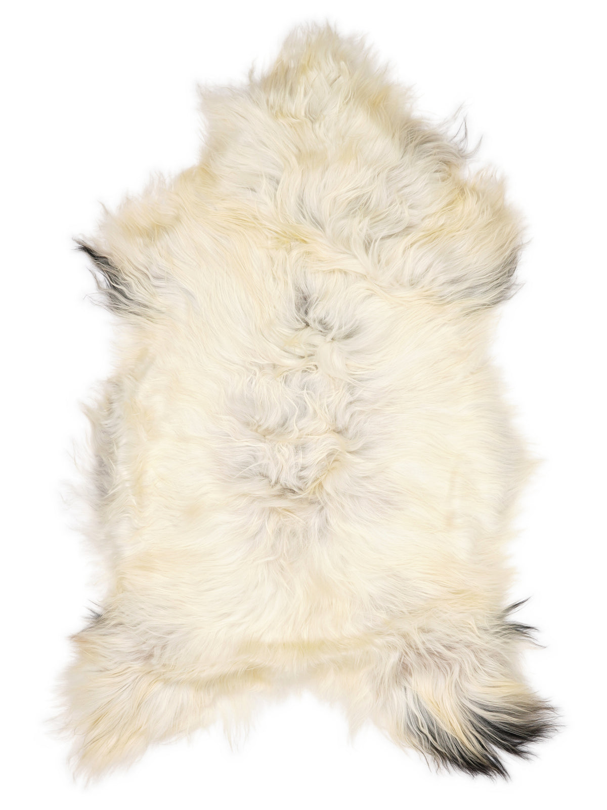 Icelandic multicolour sheepskin rug of about 130 × 70 cm, seen from above: the exact sheepskin you receive