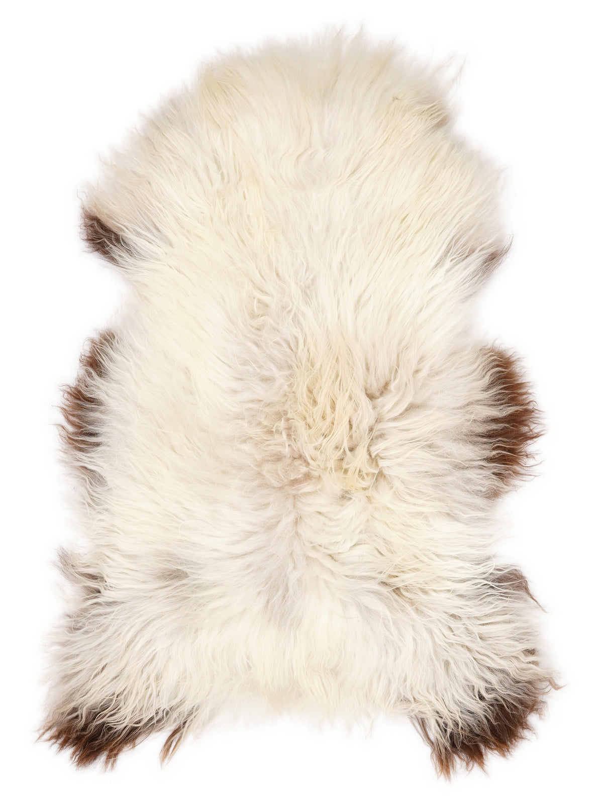 Icelandic multicolour sheepskin rug of about 120 × 70 cm, seen from above: the exact sheepskin you receive