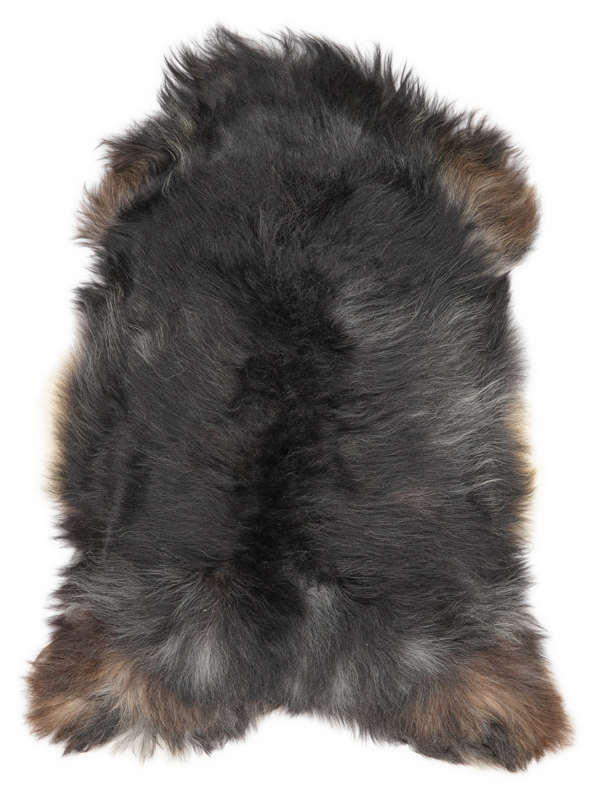 Icelandic multicolour sheepskin rug of about 115 × 75 cm, seen from above: the exact sheepskin you receive