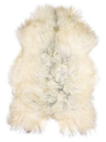 Icelandic multicolour sheepskin rug of about 120 × 80 cm, seen from above: the exact sheepskin you receive